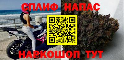СК Балашиха
