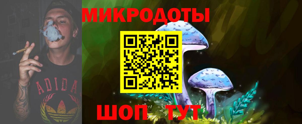 APVP Городец